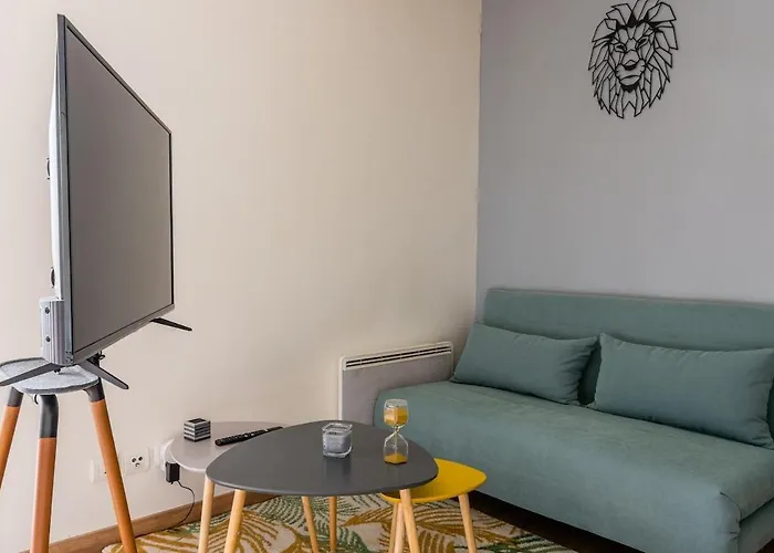 Joyau Cache Avec Parking Privatif En Hyper-centre Apartment *